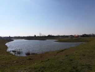 Crearea unui habitat ornitologic pe malul lacului Varsánykerti, în orașul Komádi (HU)
